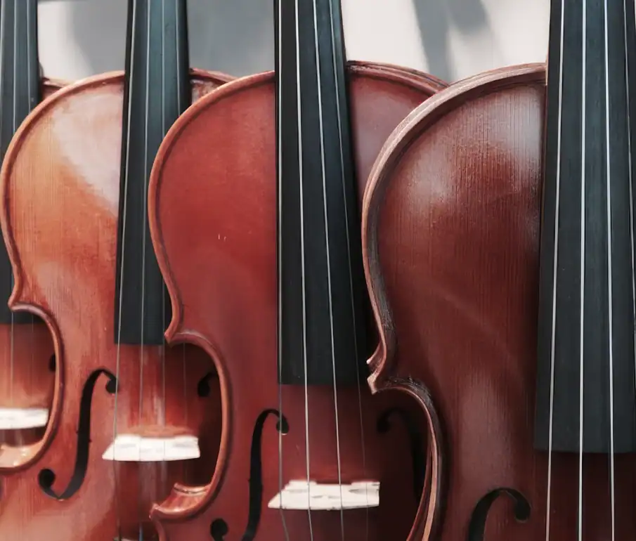 Celloer i nærbillede – koncert med Dvořáks cellokoncert ved Søbygaard