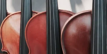 Celloer i nærbillede – koncert med Dvořáks cellokoncert ved Søbygaard