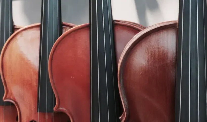 celloer Celloer i nærbillede – koncert med Dvořáks cellokoncert ved Søbygaard